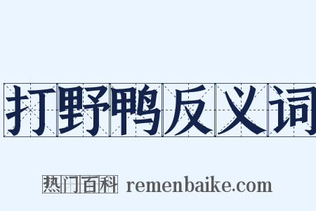 打野鸭反义词是什么意思的图片